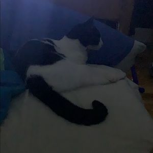 Meet your Posher, Jack